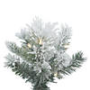 Vickerman 7' Potted Flocked Castle Pine Christmas Tree with Warm White LED Lights Image 1