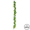 Vickerman 71" Artificial Green Frosted Ivy Vine, Set of 3 Image 2