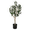 Vickerman 72" Artificial Green Olive Tree in Black Planters Pot Image 1