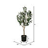 Vickerman 72" Artificial Green Olive Tree in Black Planters Pot Image 2