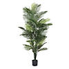 Vickerman 72" Artificial Robellini Palm Tree Image 1