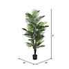 Vickerman 72" Artificial Robellini Palm Tree Image 2
