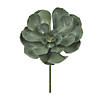 Vickerman 8.5" Artificial Mixed Peperomia Succulents Assorted - 6/pk Image 3