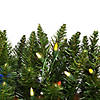 Vickerman 8.5' Durham Pole Pine Artificial Christmas Tree, Multi-Colored LED Dura-lit Lights Image 2