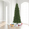 Vickerman 8.5' Oregon Fir Slim Artificial Christmas Tree, Wide Angle Single Mold Warm White LED Lights Image 1