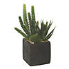Vickerman 8" Artificial Green Succulent Arrangement Image 1
