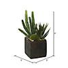 Vickerman 8" Artificial Green Succulent Arrangement Image 1