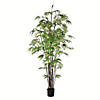 Vickerman 8' Artificial Potted Black Japanese Bamboo Tree Image 1