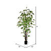 Vickerman 8' Artificial Potted Black Japanese Bamboo Tree Image 2