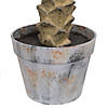 Vickerman 8' Artificial Potted Pheonix Palm Tree Image 4