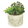 Vickerman 8" Artificial Succulent Arrangement Image 1
