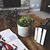 Vickerman 8" Artificial Succulent Arrangement Image 3