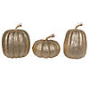 Vickerman 8" Champagne Pumpkins Assorted Set of 3. Image 1