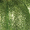 Vickerman 8" Lime Pumpkins Assorted Set of 3. Image 2