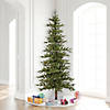 Vickerman 8' Shawnee Fir Artificial Christmas Tree, Clear Dura-lit Lights Image 3