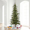 Vickerman 8' Shawnee Fir Artificial Christmas Tree, Clear Dura-lit Lights Image 4