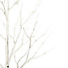 Vickerman 8' White Birch Twig Tree, Warm White 3mm Wide Angle LED lights. Image 1