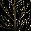 Vickerman 8' White Birch Twig Tree, Warm White 3mm Wide Angle LED lights. Image 3