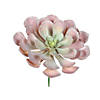 Vickerman 9.5" Artificial Rust Green Peperomia Succulent - 3/pk Image 2
