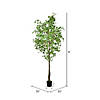 Vickerman 9' Artificial Potted Ginkgo Tree Image 2