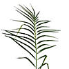 Vickerman 9' Artificial Potted Pheonix Palm Tree Image 1
