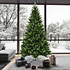 Vickerman 9' Bennington Spruce Artificial Christmas Tree, Unlit Image 1