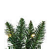 Vickerman 9' Camdon Fir Christmas Garland with Warm White LED Lights Image 4