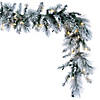 Vickerman 9' Proper 14" Flocked Jackson Pine Pre-Lit Artificial Garland with 100 Warm White Lights and 160 PVC Tips Image 1