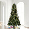 Vickerman 9' Proper 66" Douglas Fir Artificial Christmas Tree with Warm White LED Lights. Image 1