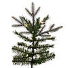 Vickerman 9' Proper 66" Douglas Fir Artificial Christmas Tree with Warm White LED Lights. Image 2