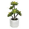 Vickerman Artificial 13"Succulent, Cement Pot Image 1
