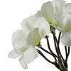 Vickerman Artificial 20" White Geranium Bush, 4 per Pack. Image 2