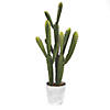 Vickerman Artificial 29" Green Cactus Plant in Concrete Pot Image 1