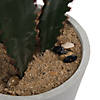 Vickerman Artificial 29" Green Cactus Plant in Concrete Pot Image 2