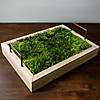 Vickerman Bag of Green Sheet Moss, Preserved Image 4