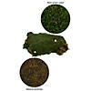 Vickerman Box Green Moss, Sheet - 6.6 Lbs Bulk Case, Preserved Image 4