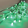 Vickerman Green LED Twig Lights Image 1