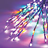Vickerman Mardi Gras LED Twig Lights Image 1
