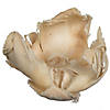 Vickerman Natural Botanicals 2.75" Palm Cap, Bleached. Includes 25 pieces per Pack. Image 2