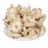 Vickerman Natural Botanicals 2.75" Palm Cap, Bleached. Includes 25 pieces per Pack. Image 4