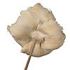 Vickerman Natural Botanicals 2.75" Palm Cap, Bleached and White Wash on Stem. Includes 25 pieces per Pack. Image 3
