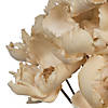 Vickerman Natural Botanicals 2.75" Palm Cap, Bleached and White Wash on Stem. Includes 25 pieces per Pack. Image 4