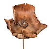 Vickerman Natural Botanicals 2.75" Palm Cap, Natural on Stem. Includes 75 pieces per Pack. Image 2