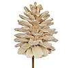 Vickerman Natural Botanicals 2" Blue Pine, Bleached on Stem. Includes 25 pieces per unit. Image 2