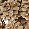 Vickerman Natural Botanicals 2" Blue Pine, Bleached on Stem. Includes 25 pieces per unit. Image 3