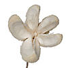 Vickerman Natural Botanicals 20" Bullet Flower, Bleached on Stem. Includes 50 Stems per pack. Image 3