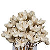 Vickerman Natural Botanicals 20" Bullet Flower, Bleached on Stem. Includes 50 Stems per pack. Image 4