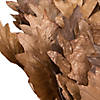 Vickerman Natural Botanicals 20" Oak Leaf, Natural on Natural Ting Ting. Includes 100 pieces per Pack. Image 3