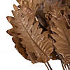 Vickerman Natural Botanicals 20" Oak Leaf, Natural on Natural Ting Ting. Includes 100 pieces per Pack. Image 4