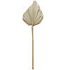 Vickerman Natural Botanicals 20" Palm Spear, Natural. Includes 50 pieces per Pack. Image 1